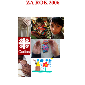 Výroční zpráva 2006