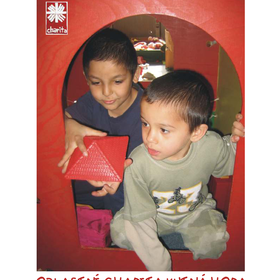 Výroční zpráva 2008