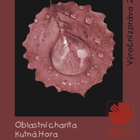 Výroční zpráva 2010