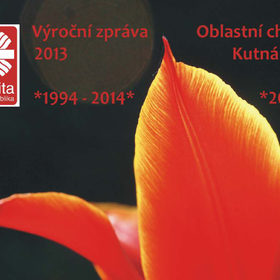 Výroční zpráva 2013