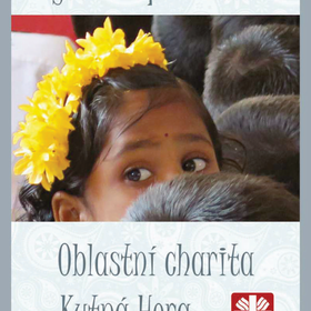 Výroční zpráva 2016