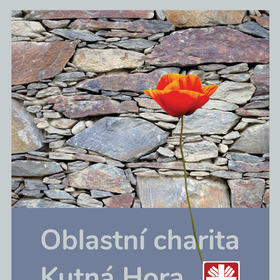 Výroční zpráva 2017