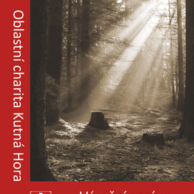 Výroční zpráva 2020