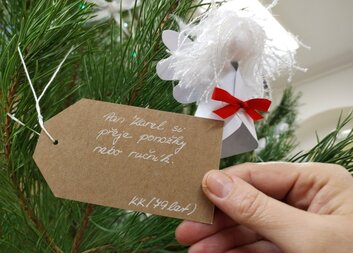 Také letos připravujeme pro naše klienty Vánoční strom splněných přání