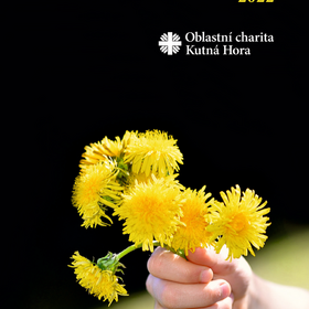 Výroční zpráva 2022