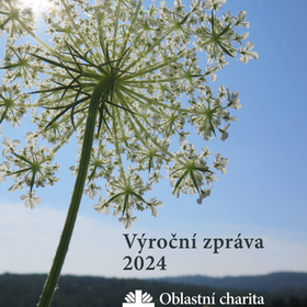 Výroční zpráva 2024