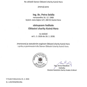 Jmenování zástupce