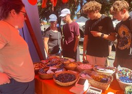 KCD Fanfest v Malešově